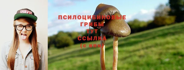 мяу мяу мука Баксан