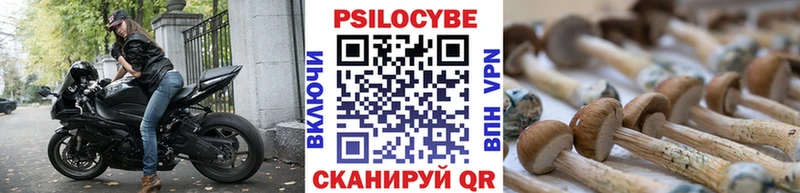 сайты даркнета какой сайт hydra как зайти Черняховск закладки Псилоцибиновые грибы GOLDEN TEACHER